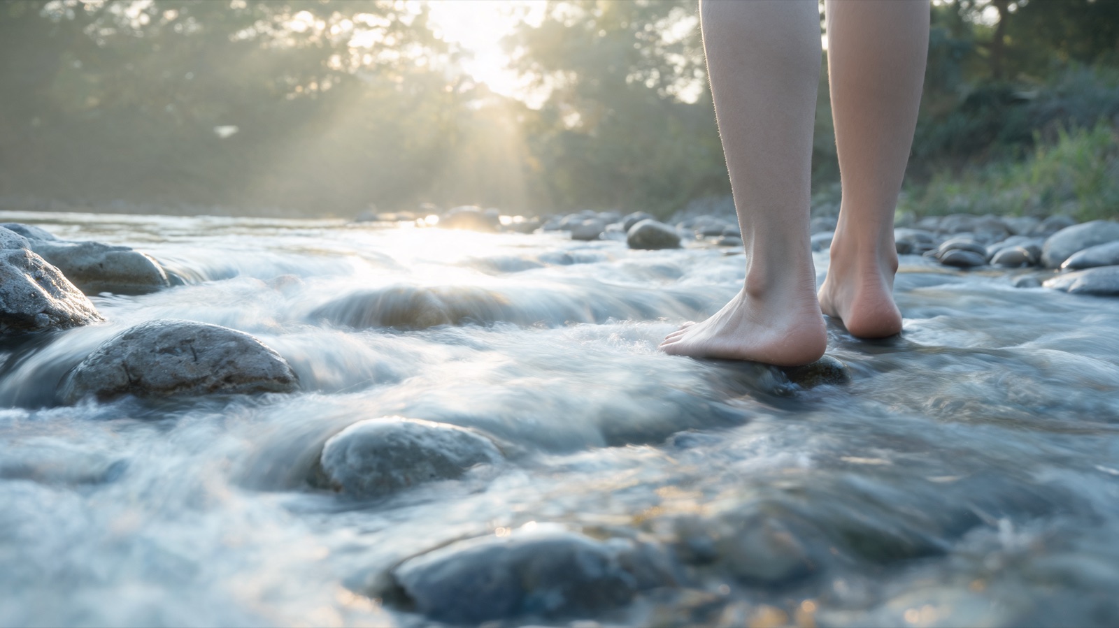Acqua che scorre su pietre lisce di fiume nella luce del mattino